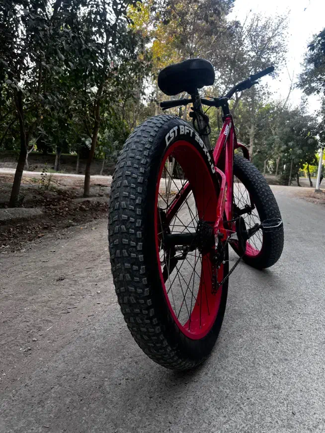 دوچرخه ساحلی لاستیک پهن|دوچرخه، اسکیت، اسکوتر|اصفهان, باغ زیار|دیوار