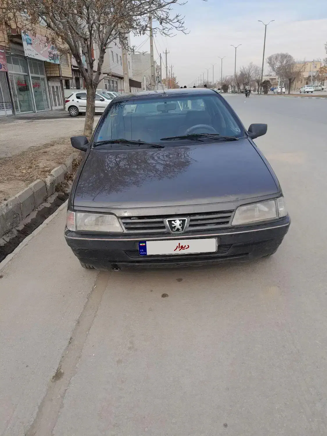 پژو روا دوگانه ۸۷|خودرو سواری و وانت|کبودرآهنگ, |دیوار