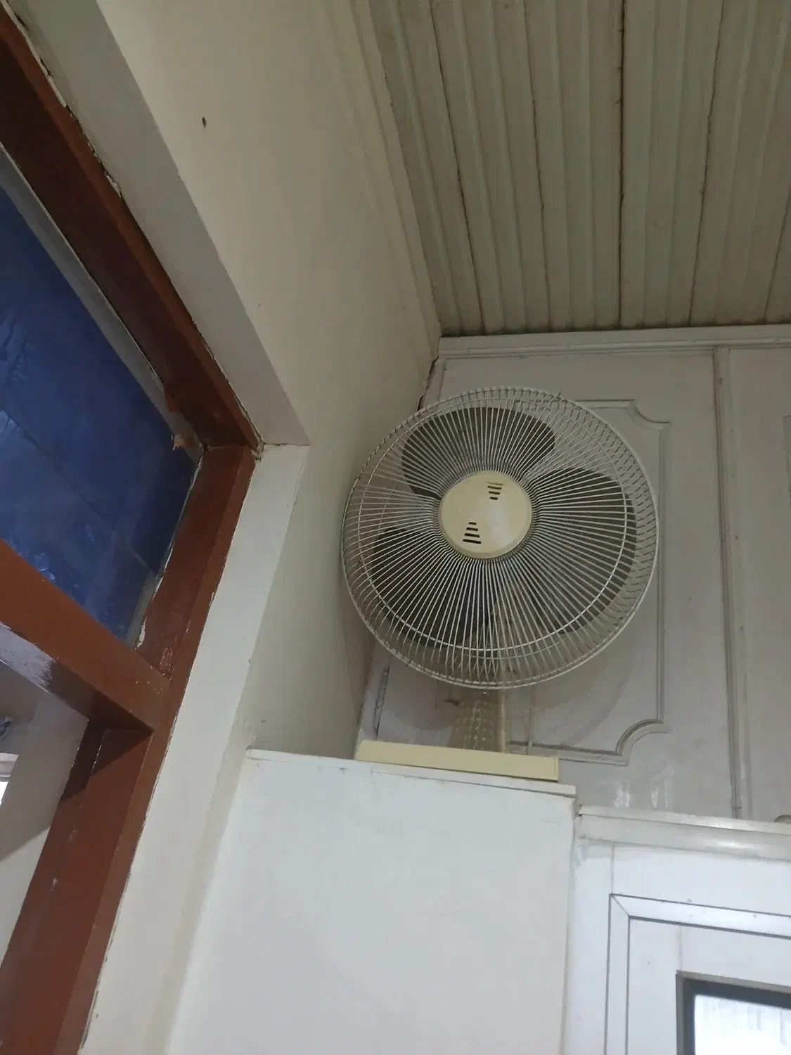 پنکه زمینی|پنکه و تصفیهکنندهٔ هوا|فومن, |دیوار