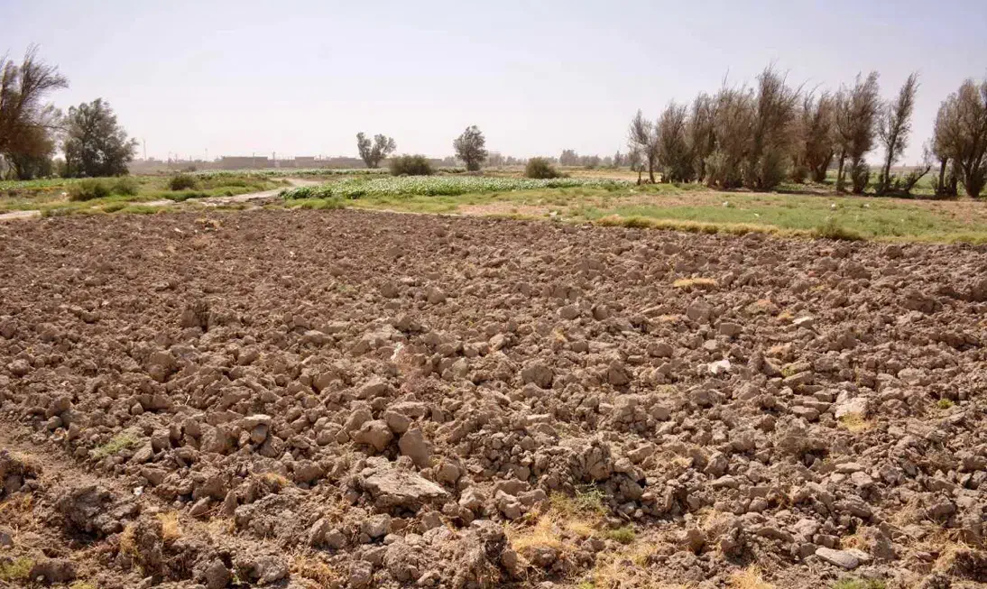 زمین دانشگاه ازاد کاشمر|فروش زمین و ملک کلنگی|کاشمر, |دیوار