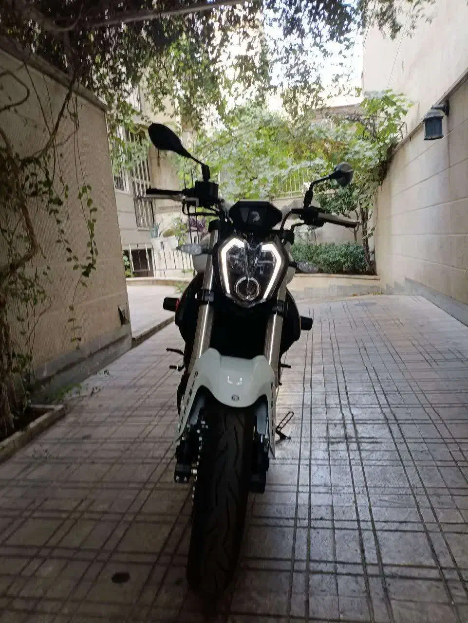 موتور بنلی 300|موتورسیکلت|اراک, |دیوار