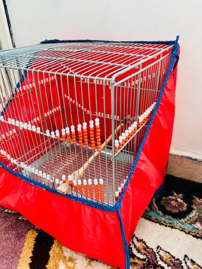 قفس|لوازم جانبی حیوانات|ایلام, |دیوار