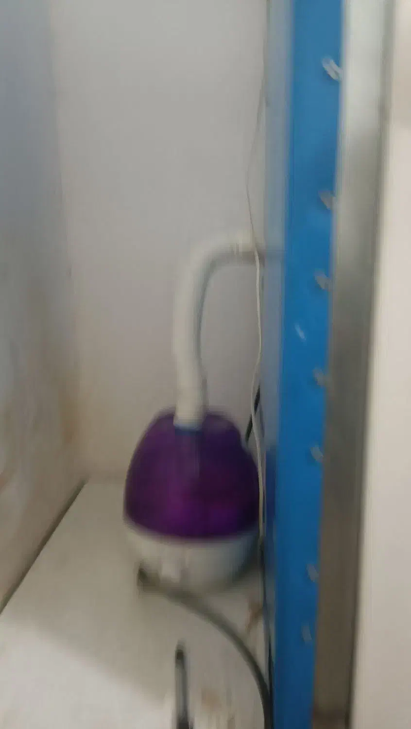 دستگاه جوجه کشی|لوازم جانبی حیوانات|بستان آباد, |دیوار