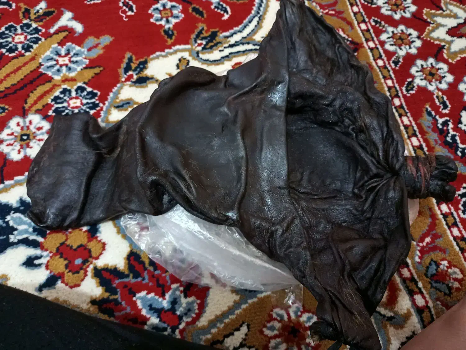 وسیله اشپزخانه|ظروف نگهدارنده، پلاستیکی، یک‌بارمصرف|ایوان, |دیوار