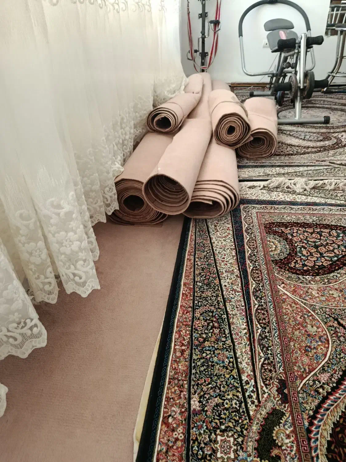 موکت حدود ۶۵ متر|موکت|ارومیه, |دیوار