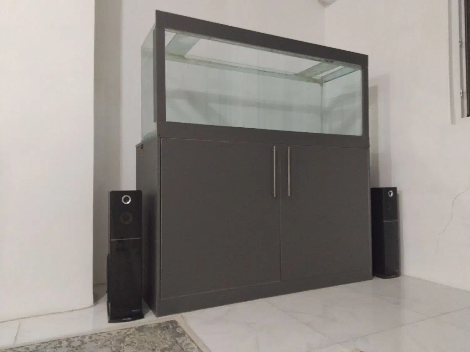 قناری نر جوان معاوضه با لوازم اکواریوم ابنوس|پرنده|کرج, کمال‌شهر|دیوار