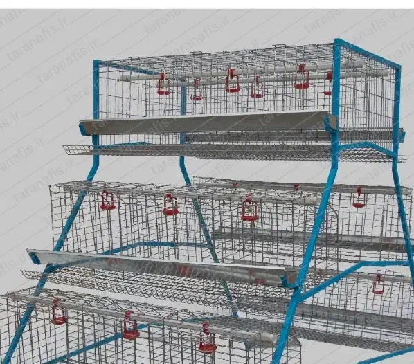 قفس مرغ تخم گذار|لوازم جانبی حیوانات|نقده, |دیوار