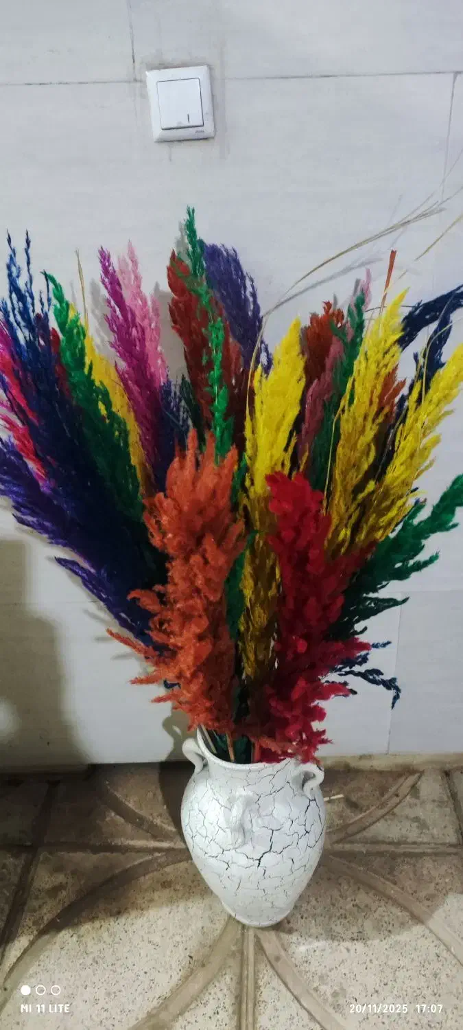 گل بامبو .گلدان یوکا|گل و گیاه طبیعی|ورامین, ورامین|دیوار