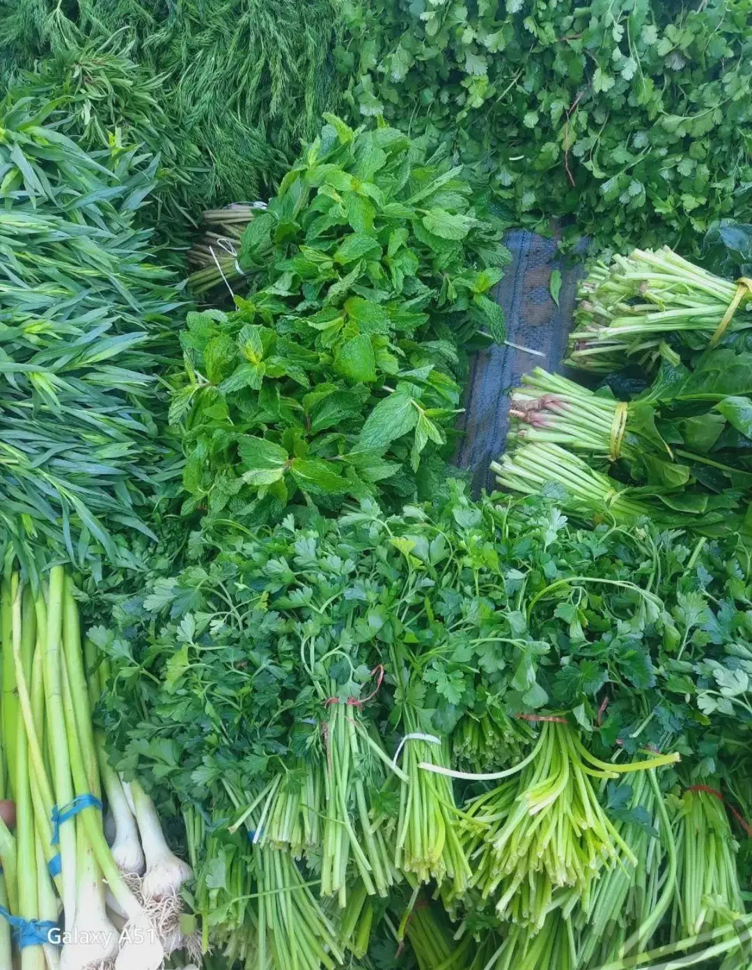 سبزی فروشی سید علی|خوردنی و آشامیدنی|قم, باغ شریفی|دیوار