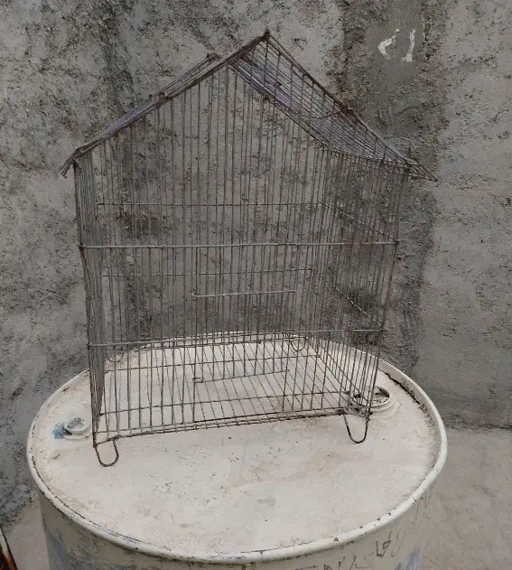 قفس پرنده|لوازم جانبی حیوانات|برازجان, |دیوار