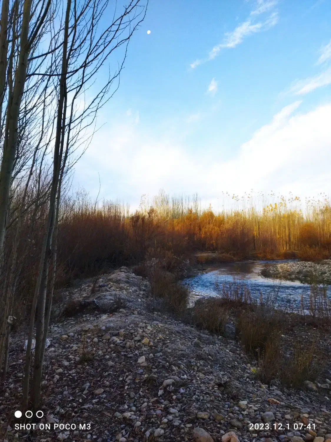 گمشده|اشیا|پاکدشت, پاکدشت (مامازند)|دیوار