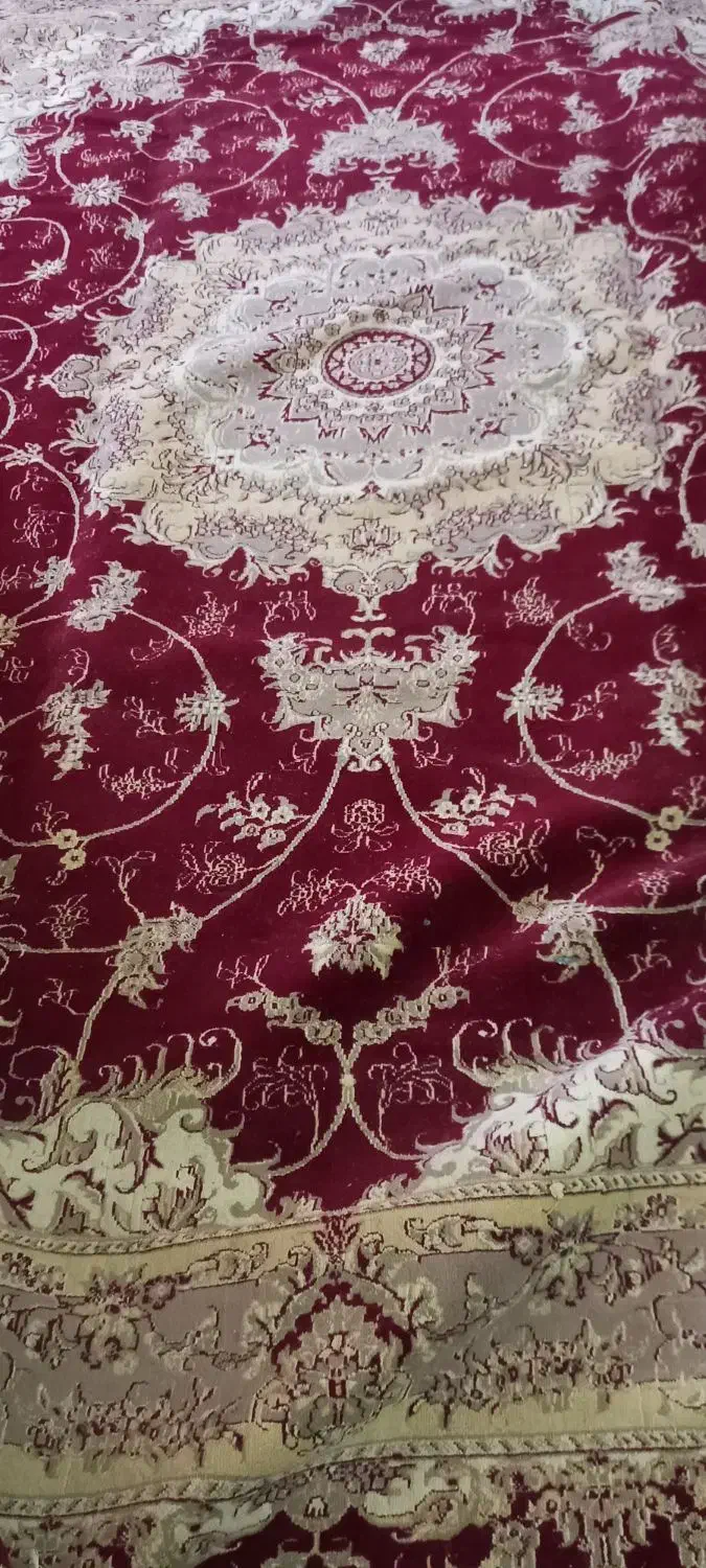 فرش ۱۲ متری کارکرده|فعالیت داوطلبانه تحقیقاتی|شاهرود, |دیوار