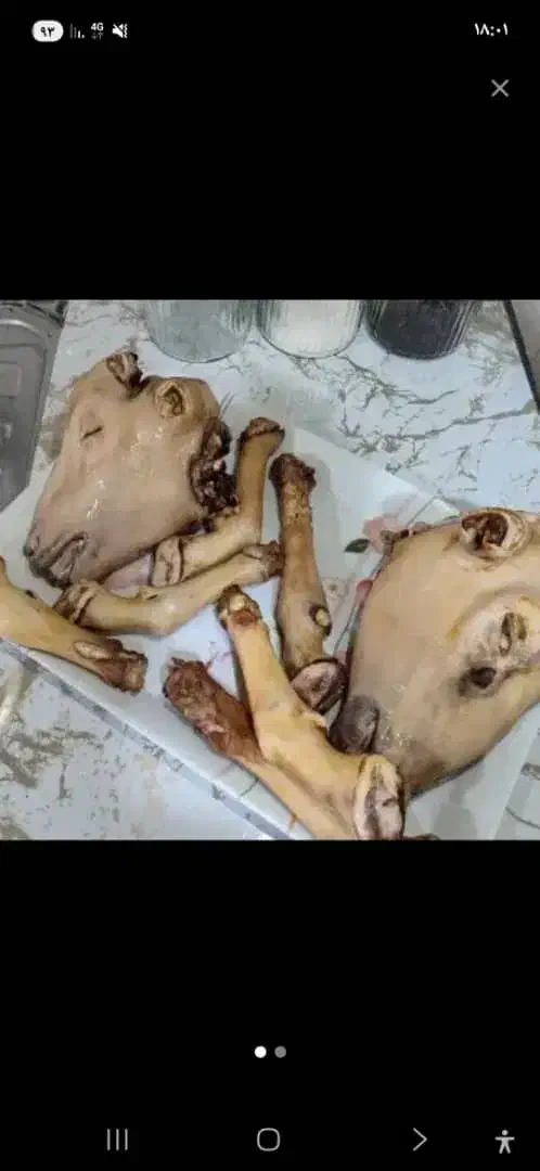 کله پاچه|خوردنی و آشامیدنی|نورآباد ممسنی, |دیوار