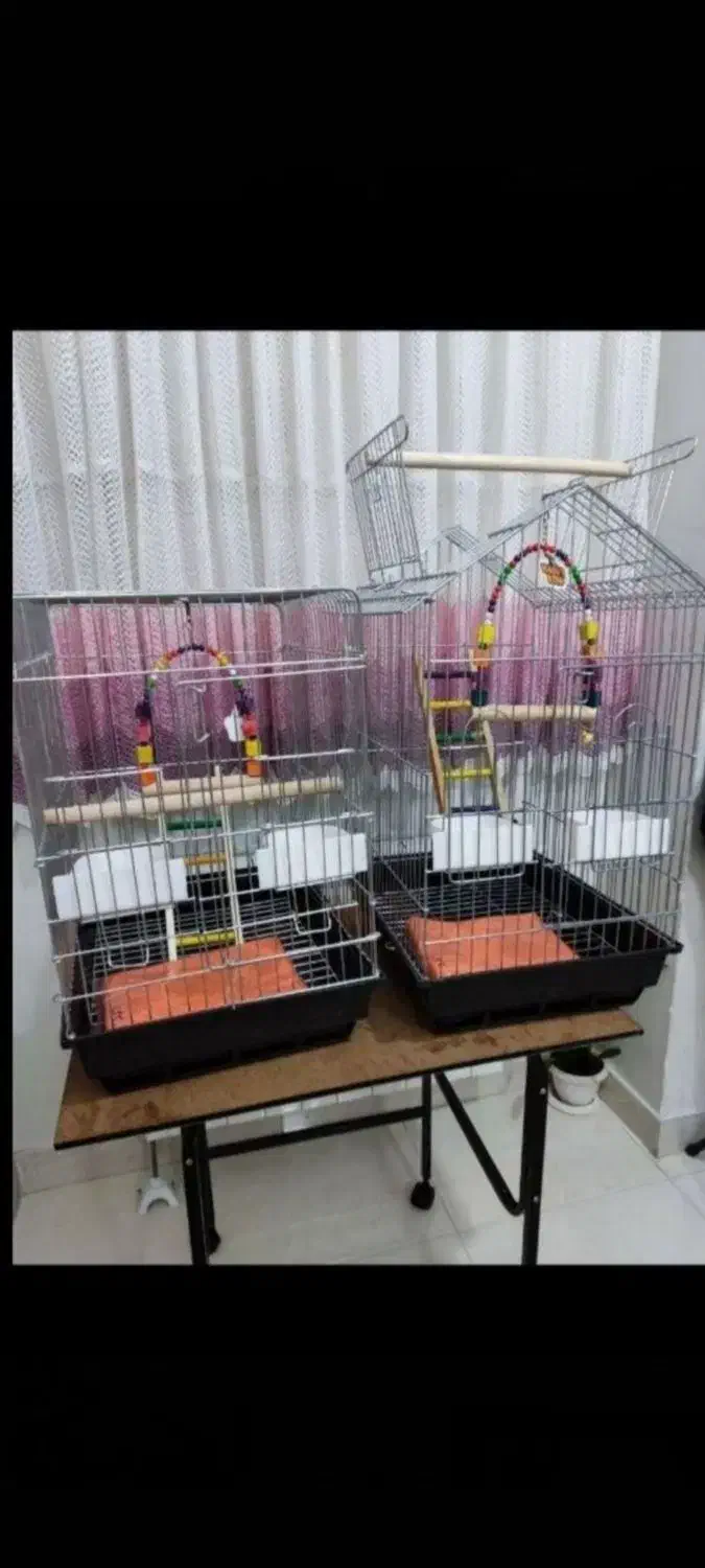قفس ۱۰۳۳ پرنده عروس هلندی طوطی برزیلی گرینچیک راهب|لوازم جانبی حیوانات|تهران, جیحون|دیوار