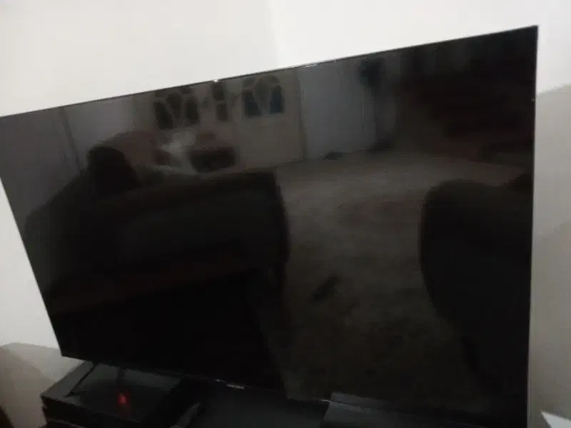 تلویزیون ۵۵ اینج سالم سالمه قبل عید خریداری شده|تلویزیون و پروژکتور|زنجان, |دیوار