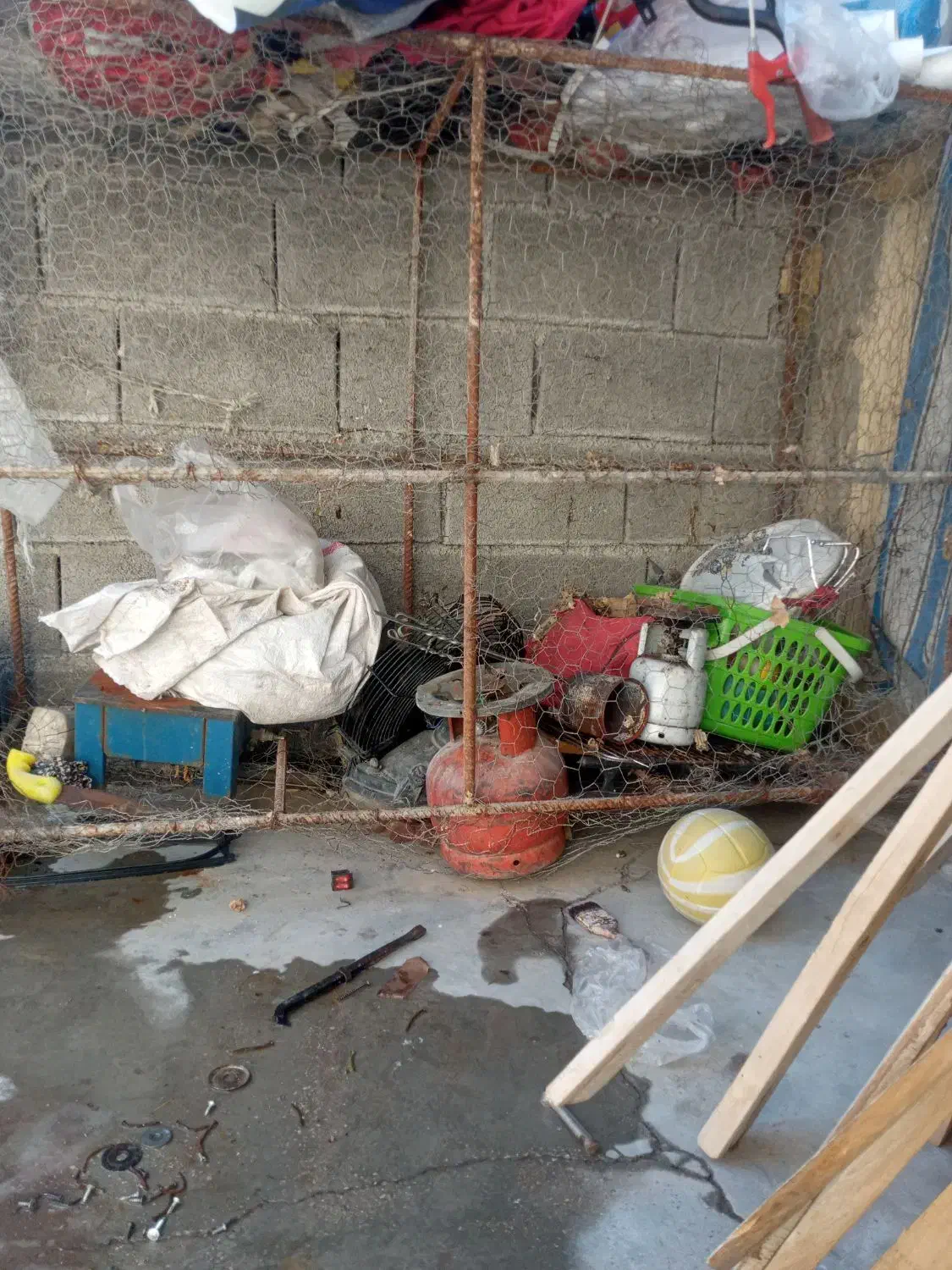 قفس|لوازم جانبی حیوانات|دوگنبدان, |دیوار