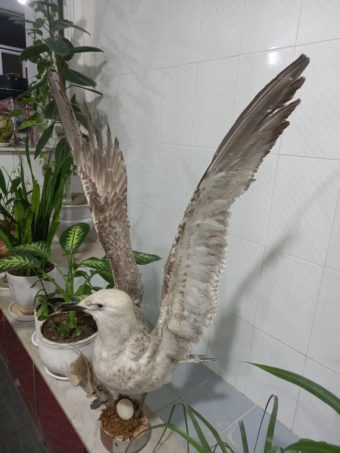 دکور|صنایع دستی و سایر لوازم تزئینی|سنقر, |دیوار