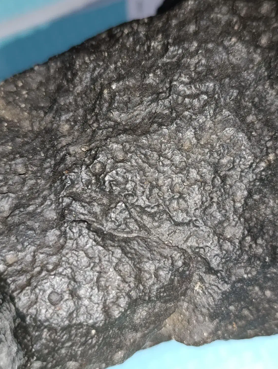 شهاب سنگ اصلی|کلکسیون اشیاء عتیقه|شاهرود, |دیوار