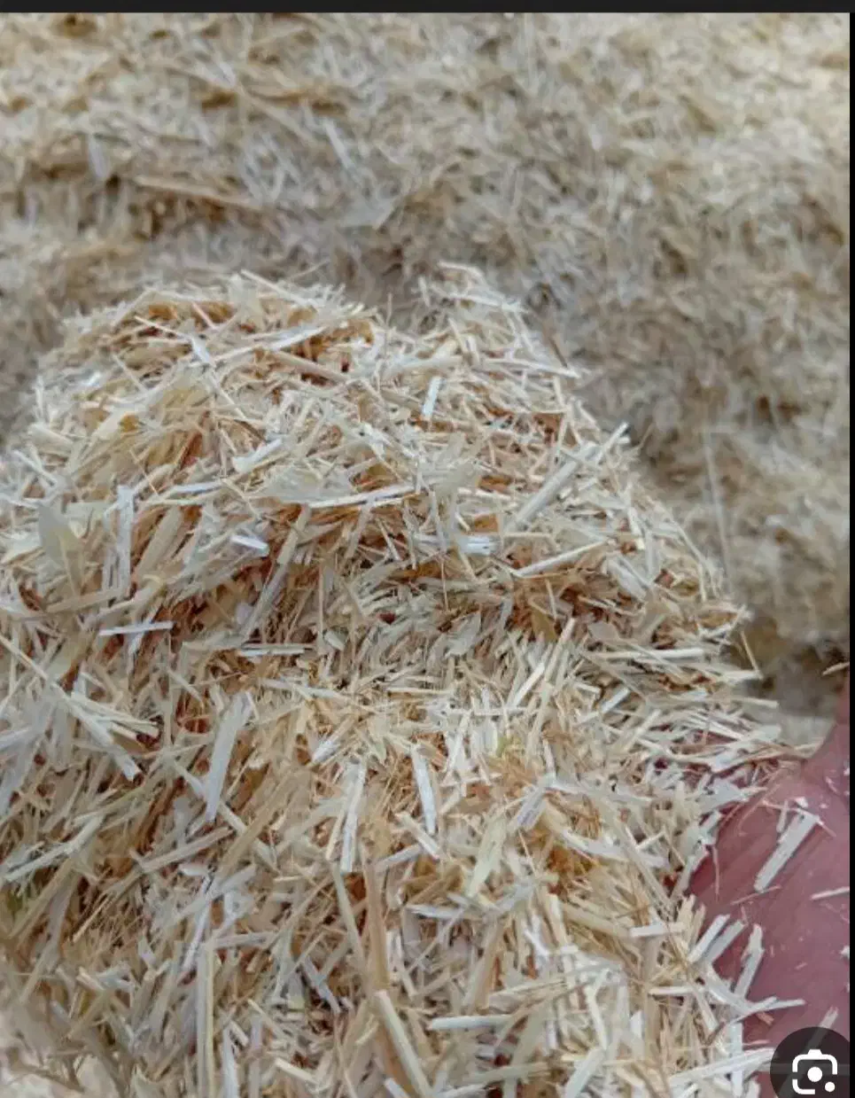 کاه گندم داخل گونی آمادس، حسین آباد|عمده‌فروشی|زرندیه, |دیوار