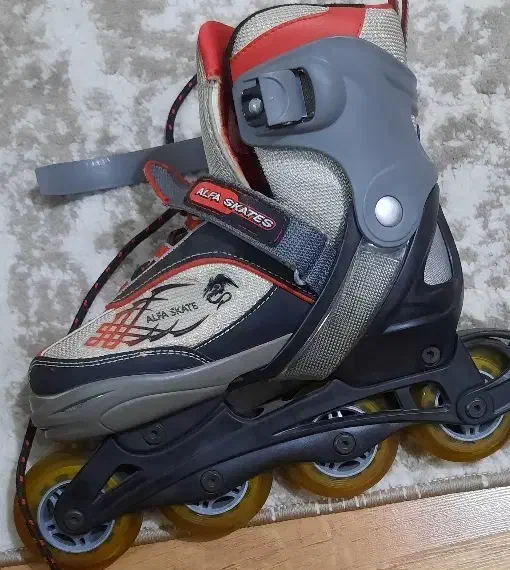 اسکیت الفا|دوچرخه، اسکیت، اسکوتر|رشت, بلوار گیلان|دیوار