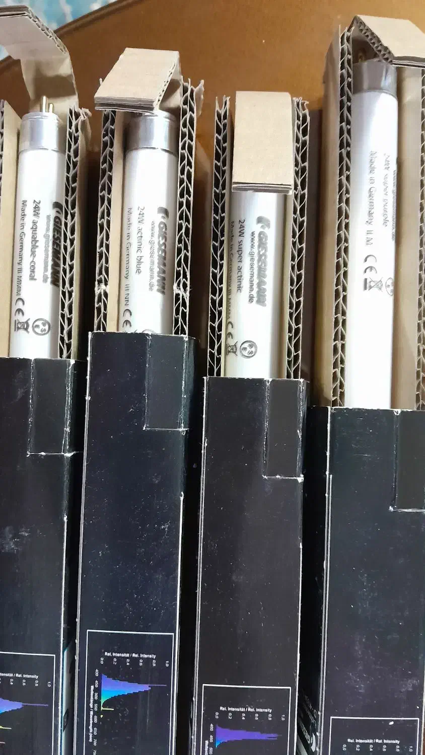 مهتابی جیسمان اب شور و محلول ریف ماسل|ماهی|اصفهان, صائب|دیوار