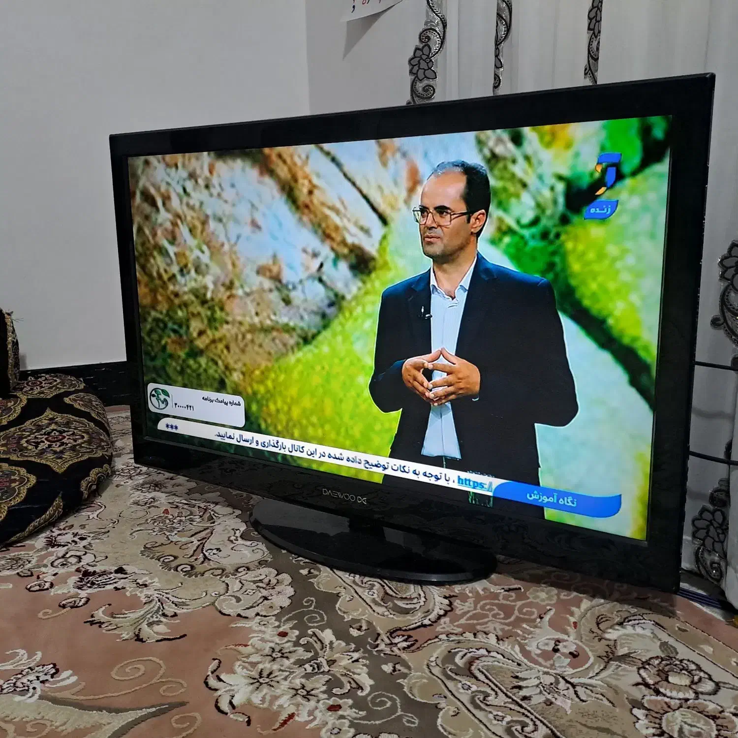 43 اینچ دوو دیجیتال سرخود|تلویزیون و پروژکتور|لردگان, |دیوار