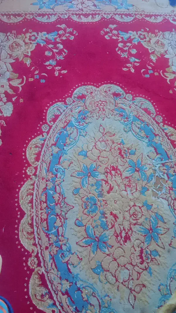 فرش|فرش|بندرعباس, |دیوار