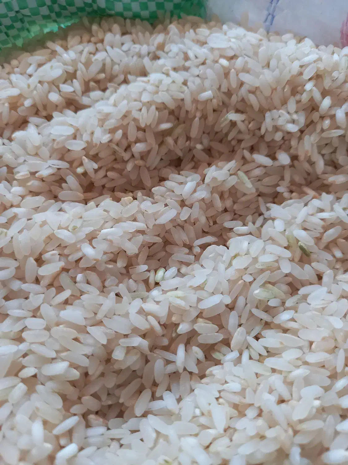برنج  کامفیروری و خرده برنج کامفیرور و فجر|خوردنی و آشامیدنی|شیراز, میانرود|دیوار