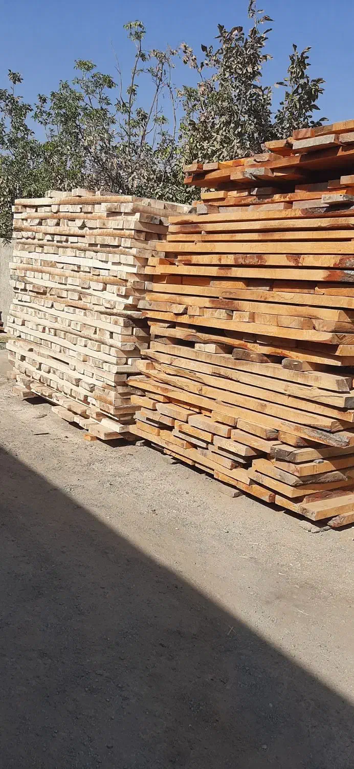 تخته صنوبر|عمدهفروشی|اسلامشهر, ده عباس|دیوار