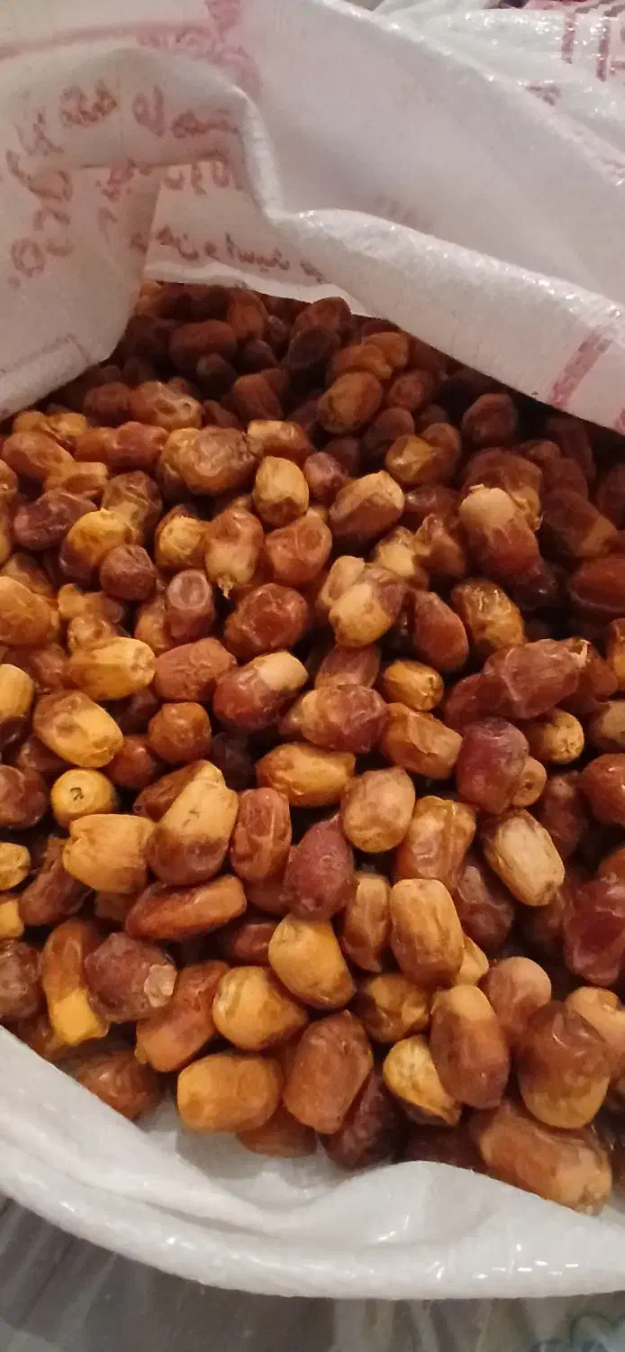خرمای زاهدی و آلوچه ای درجه یک|خوردنی و آشامیدنی|یزد, |دیوار