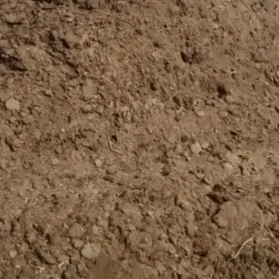 کود گاو کیسه ای|گل و گیاه طبیعی|بیرجند, |دیوار