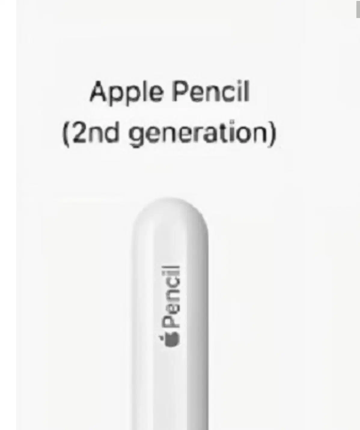 اپل پنسل ۲ apple pencil 2|لوازم جانبی موبایل و تبلت|تهران, دکتر هوشیار|دیوار