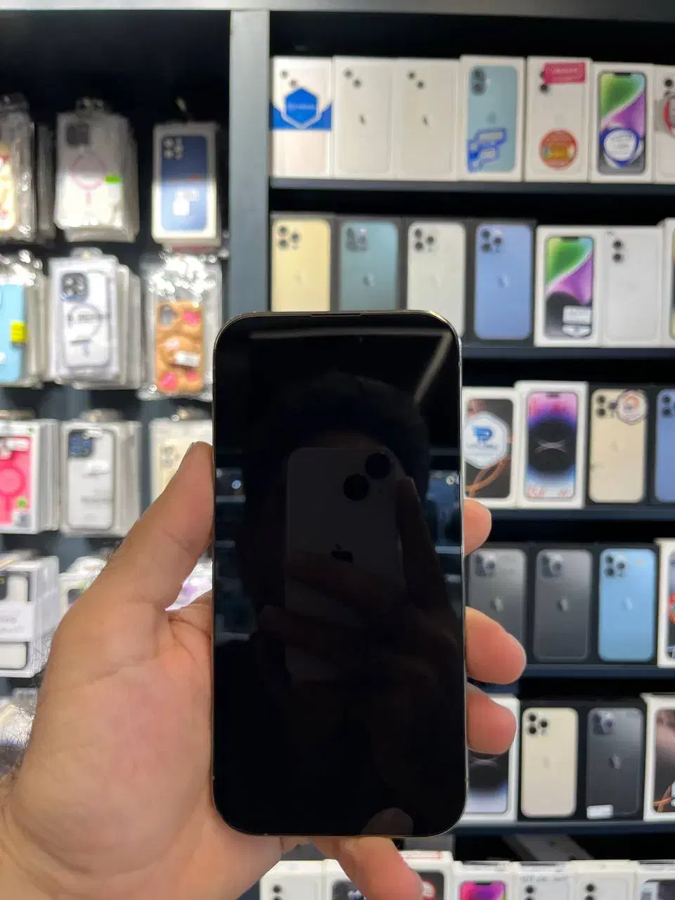 اپل 14 پرو قسطی با چک با اقساط بلند مدت|موبایل|رشت, بازار|دیوار