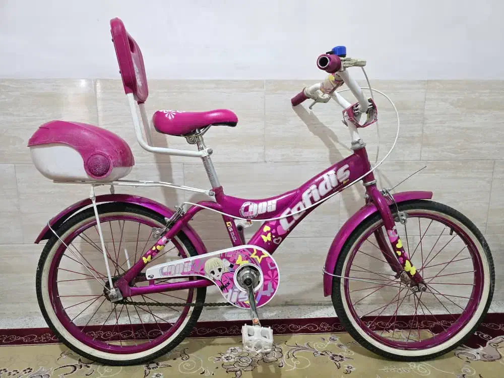دوچرخه ۲۰ دخترانه|دوچرخه، اسکیت، اسکوتر|شیراز, شهرک رضوان|دیوار