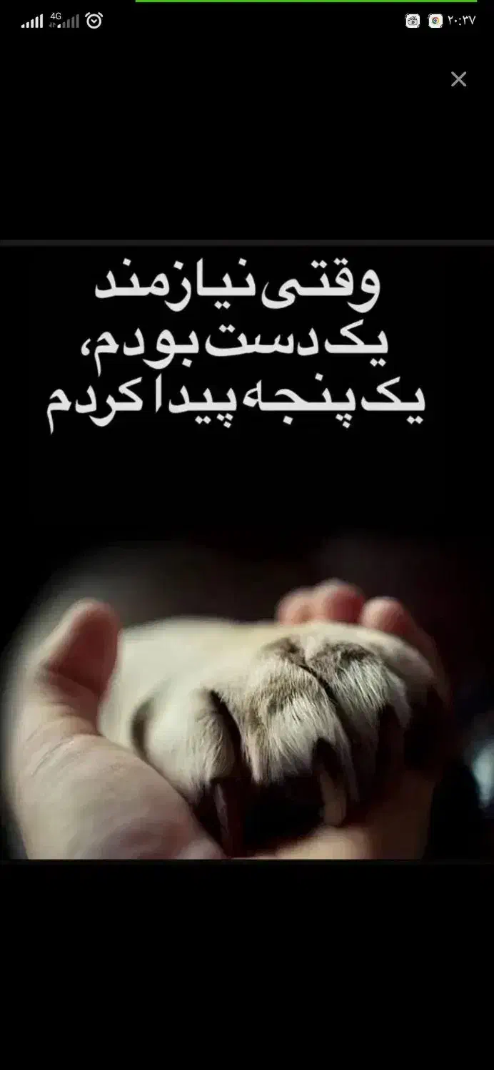 نظافت اپارتمان|خدمات نظافت|اراک, |دیوار