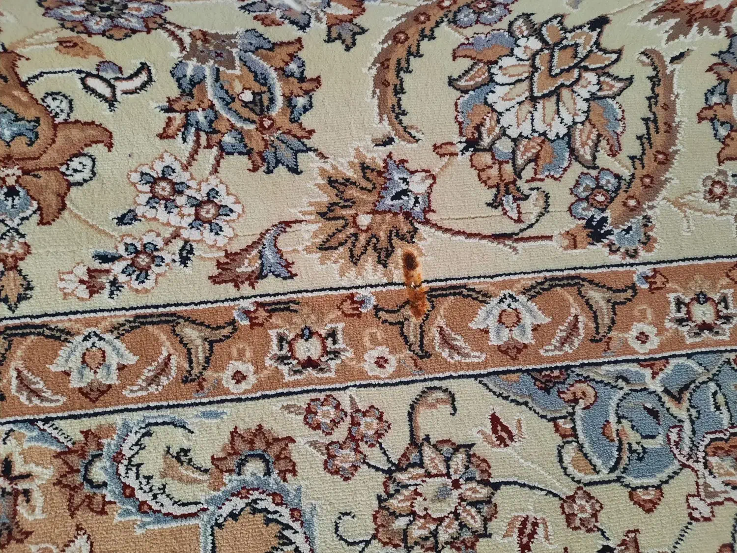 فرش ۱۲متری فرهی|فرش|مشهد, امیریه|دیوار