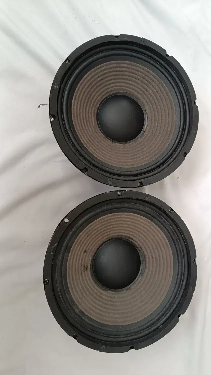 میدبیس 10اینچ ایکس پاور|سیستم صوتی خانگی|شیروان (خراسان), |دیوار