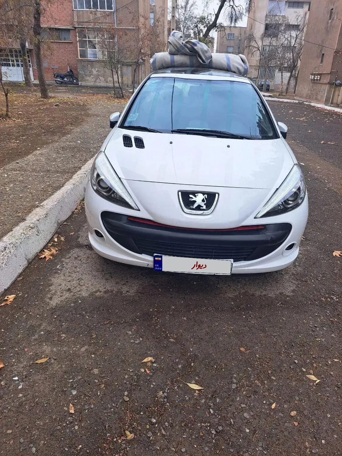 207 پانا 1401|خودرو سواری و وانت|تربت‌حیدریه, مسجد جامع|دیوار