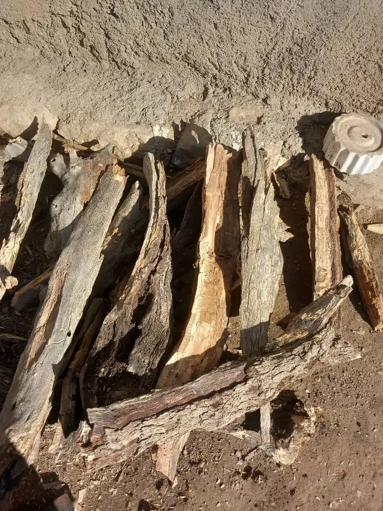 هیزم|عمده‌فروشی|دهلران, |دیوار