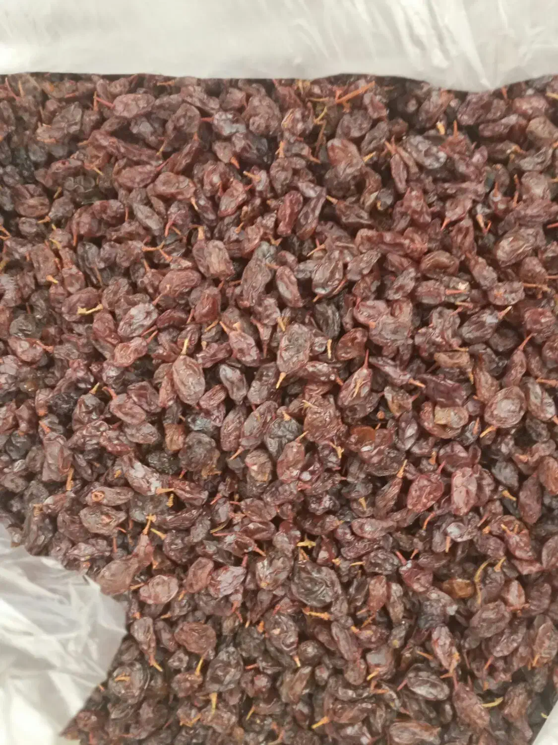 کشمش آفتابی|خوردنی و آشامیدنی|کرمانشاه, |دیوار