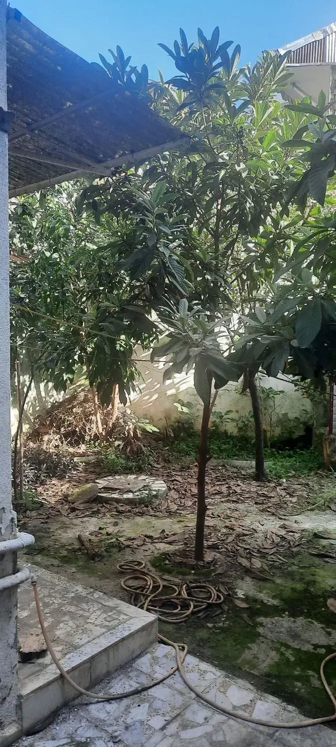 فروش خانه ویلایی رشت|فروش خانه و ویلا|رشت, شهرک شهید مفتح|دیوار