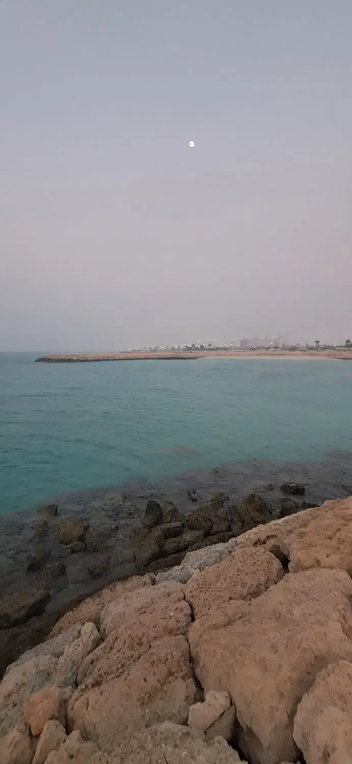 متقاضی همخونه شاغل و موجه|اجارهٔ آپارتمان|کیش, |دیوار