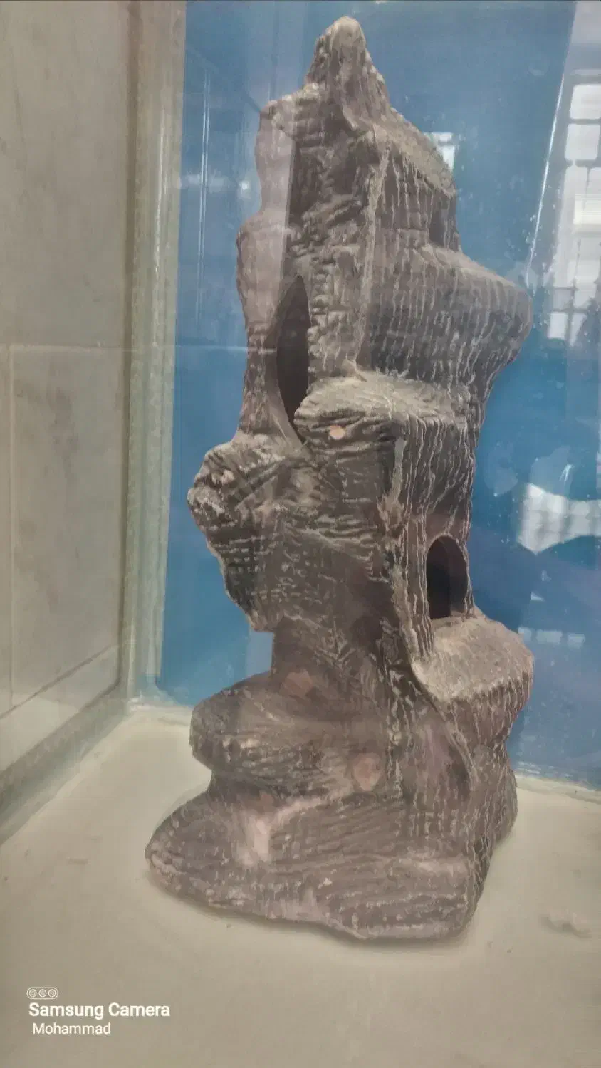 آکواریوم با وسایل|ماهی|بروجرد, |دیوار