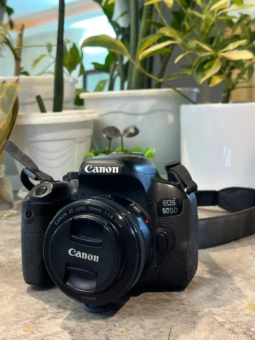 کنون 800D با لنزکیت۱۸/۵۵و۵۰فیکس/۲۴مگاپیکسل|دوربین عکاسی و فیلم‌برداری|مشهد, هفت تیر (آب و برق)|دیوار