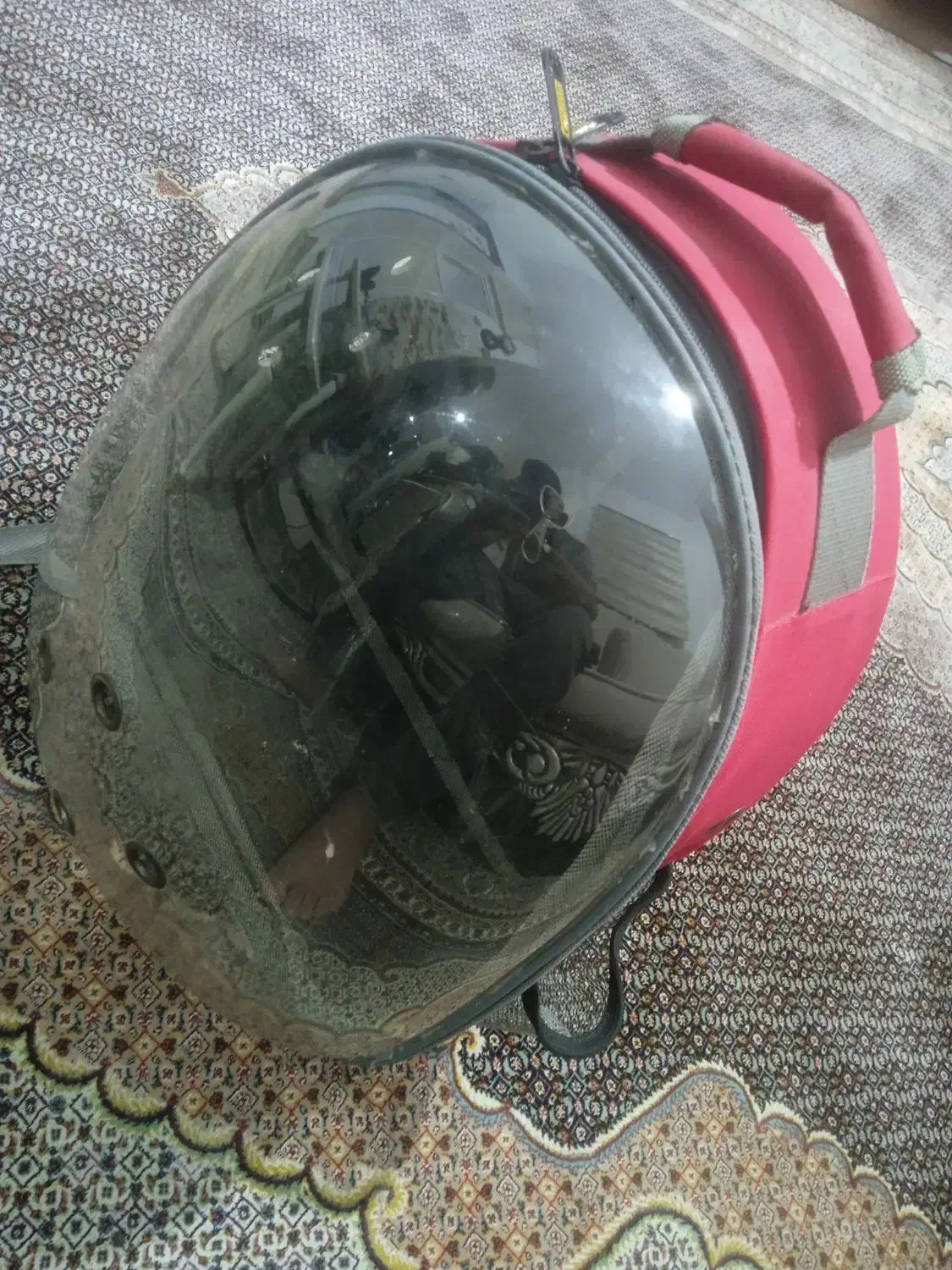 کیف پرنده|لوازم جانبی حیوانات|ارومیه, |دیوار