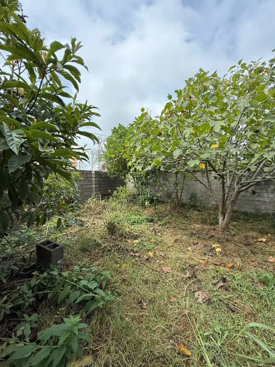 زمین و بنای کلنگی/ امتیازات نصب/نزدیک ساحل|فروش زمین و ملک کلنگی|خشکبیجار, |دیوار