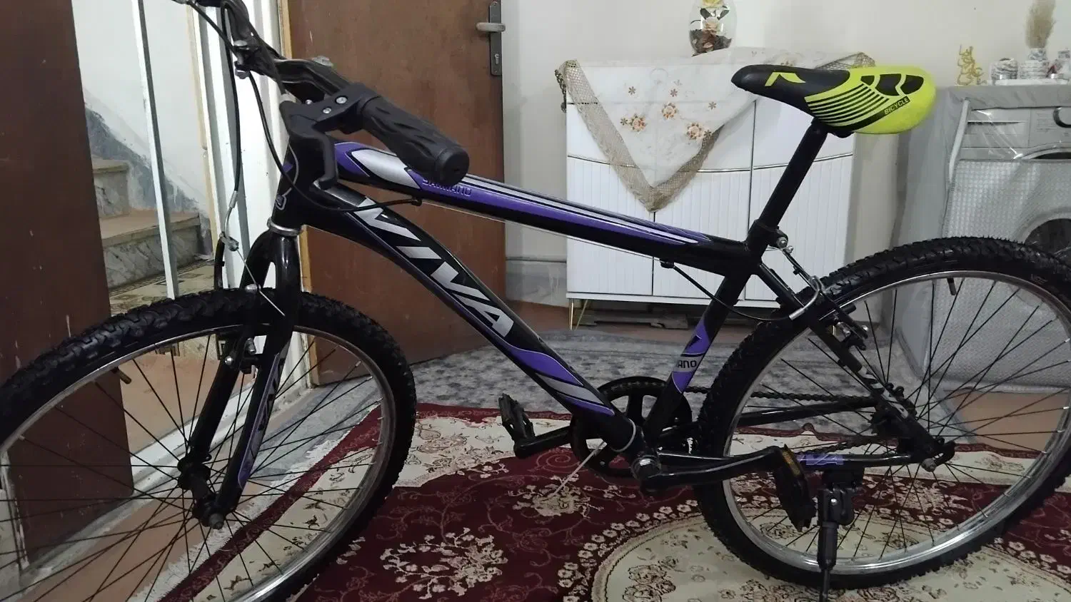 دوچرخه ویوان دنده ای نیست نو هستش استفاده نشد|دوچرخه، اسکیت، اسکوتر|گلستان (تهران), |دیوار