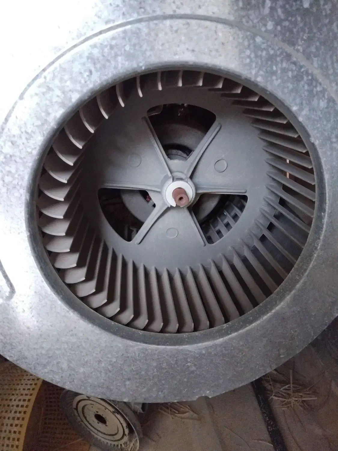 قیمت 6000000|کولر آبی|جیرفت, |دیوار