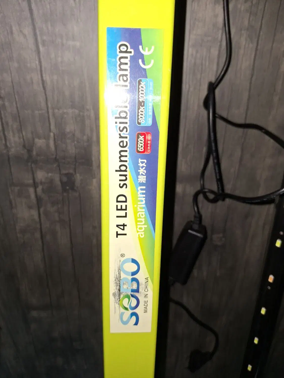 آکواریوم و لوازم|ماهی|قم, انصار‌الحسین|دیوار