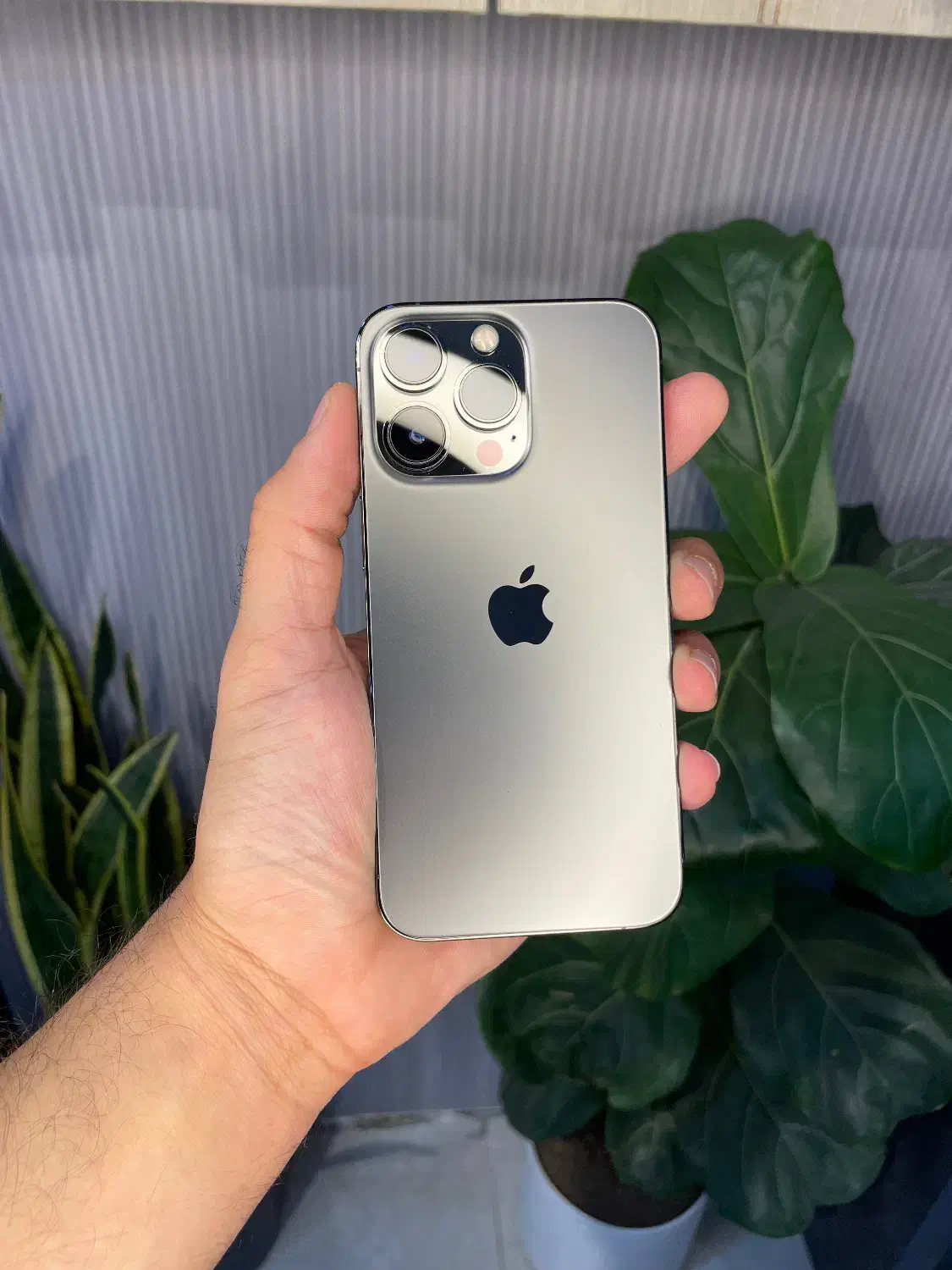 آیفون 13 پرو درحد|موبایل|رشت, چله خانه|دیوار